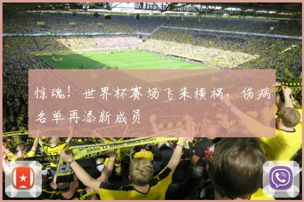 惊魂！世界杯赛场飞来横祸，伤病名单再添新成员
