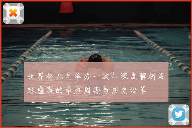 世界杯几年举办一次？深度解析足球盛事的举办周期与历史沿革